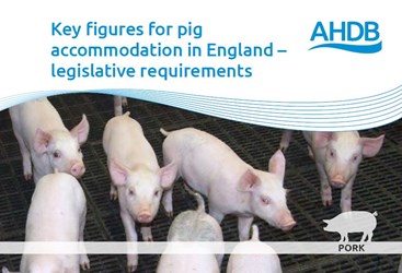 Key figures for pig accommodation in England guide